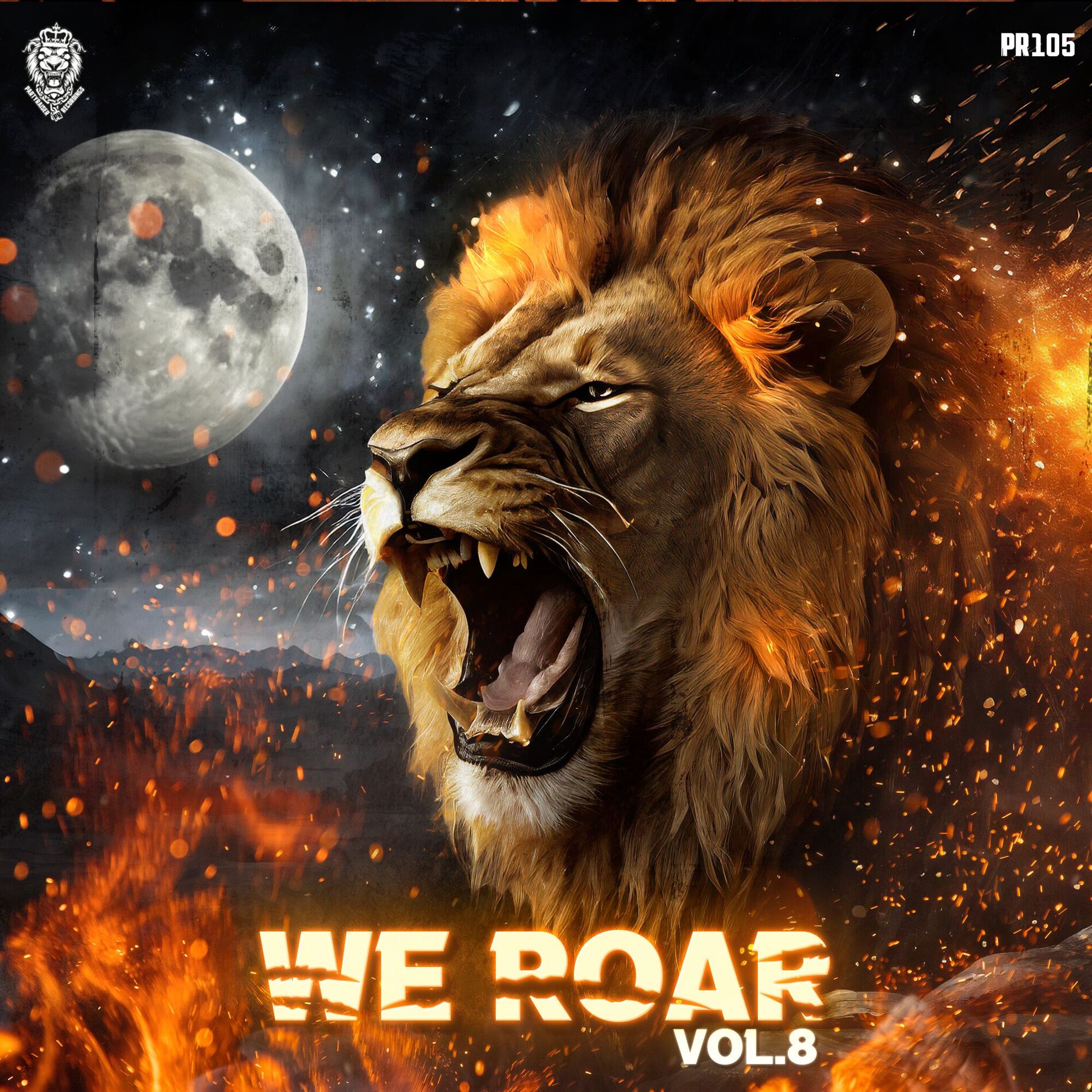Album cover of We Roar Vol. 8