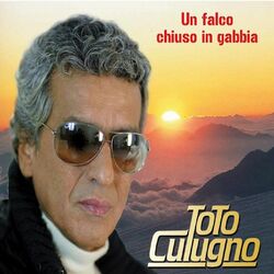 Cover of Un Falco Chiuso in Gabbia