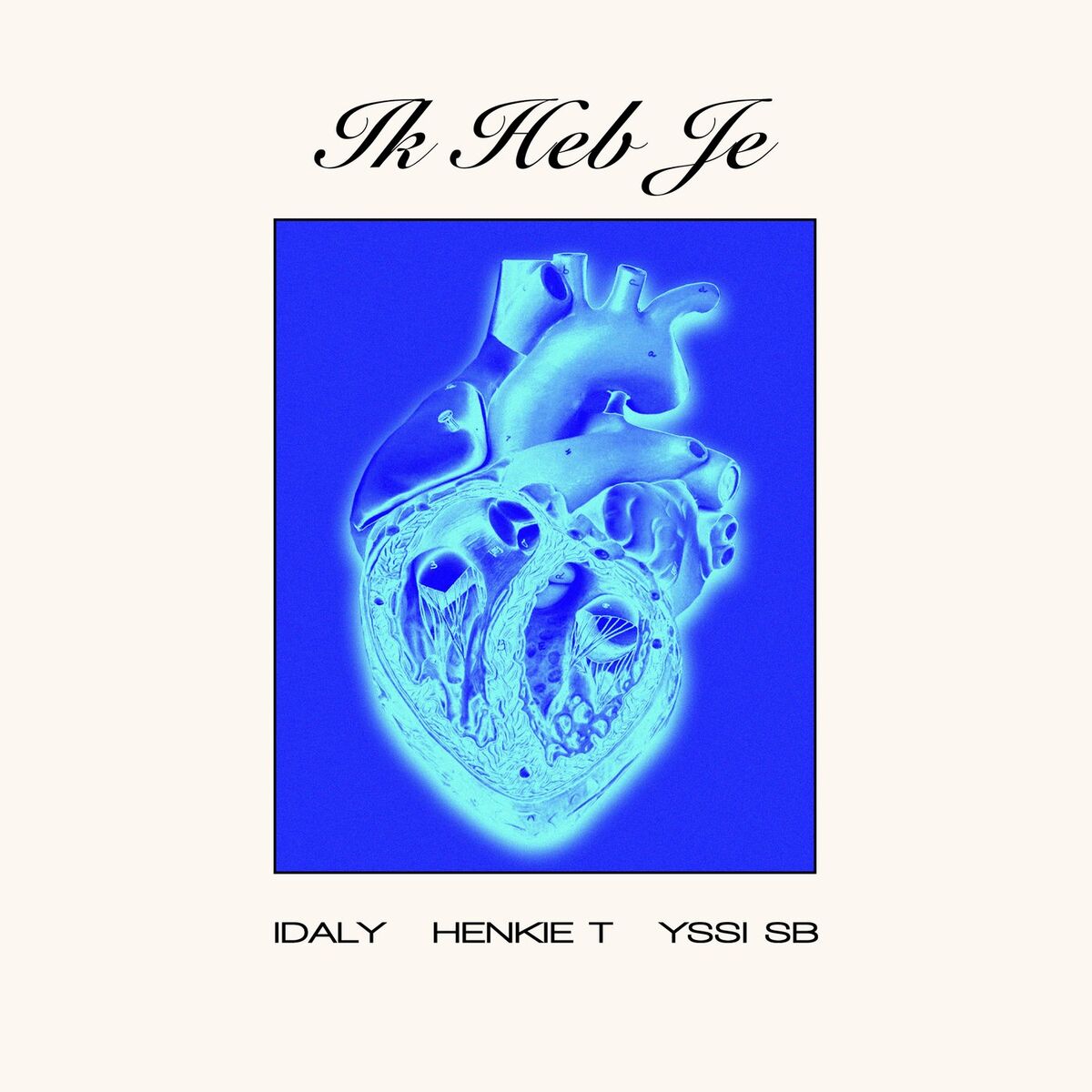 Album cover of Ik Heb Je