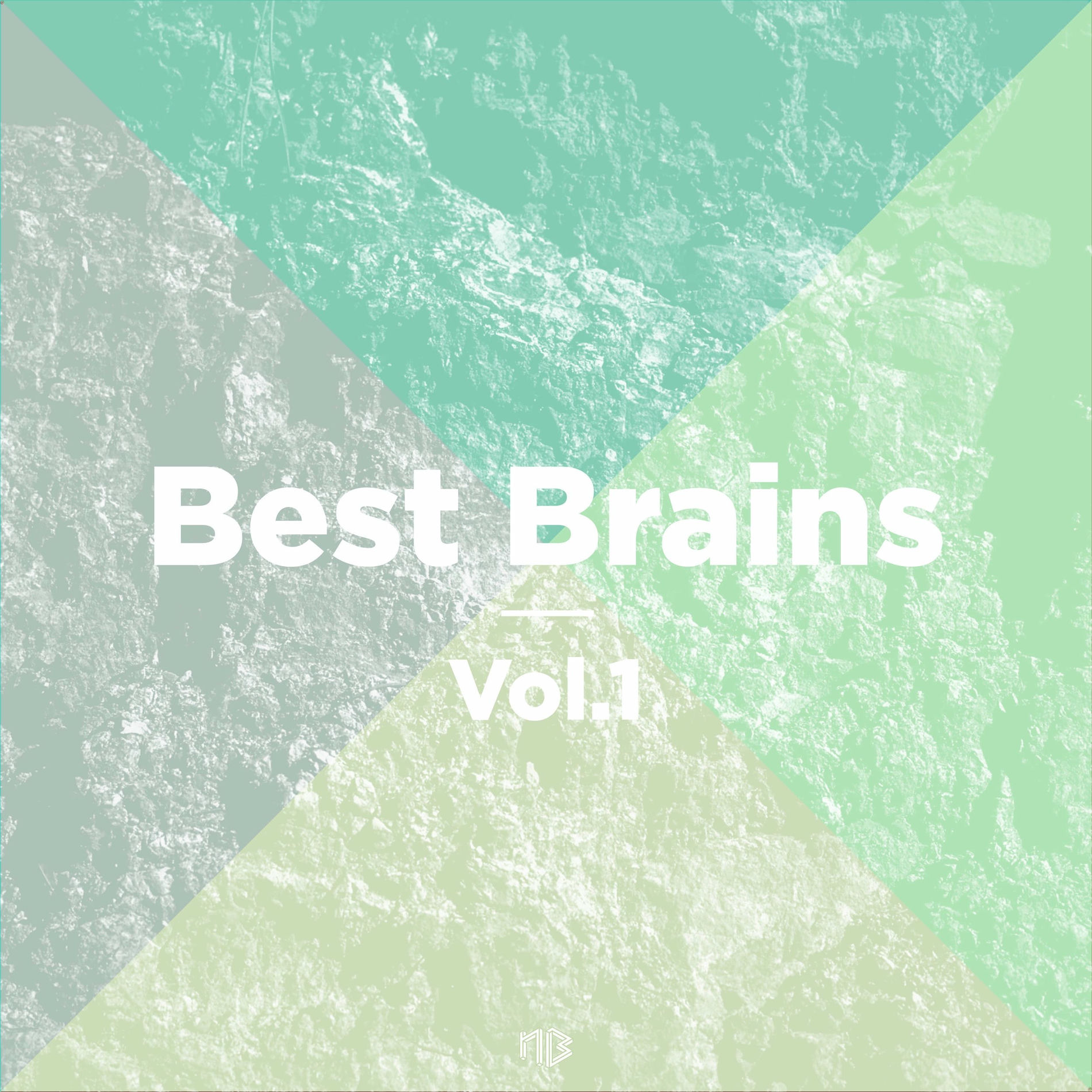 Album cover of Best Brains, Vol.1