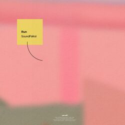 Cover of Run
