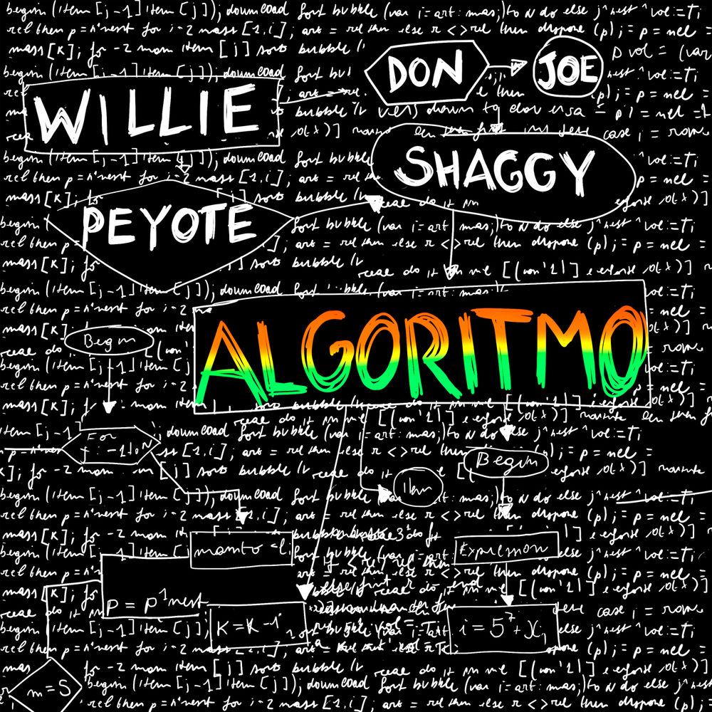 Picture of Algoritmo