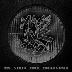Cover of In Your Own Darkness