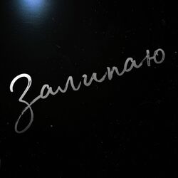 Cover of Залипаю