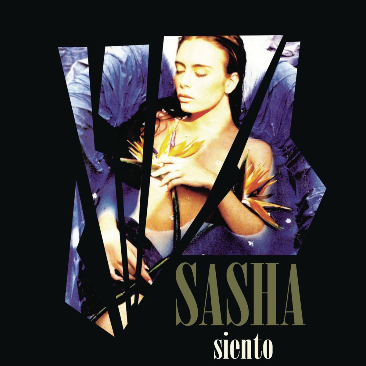 Album cover of Siento