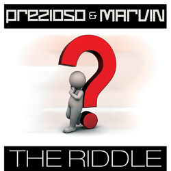 Cover of The Riddle