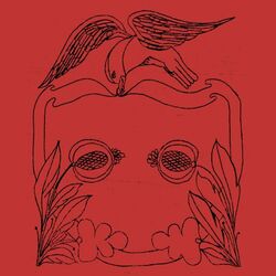 Cover of Boiling Wells (Demos 2019-22)