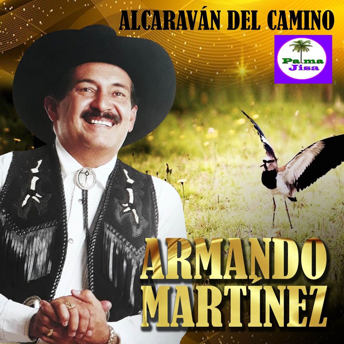 Album cover of Alcaraván del Camino