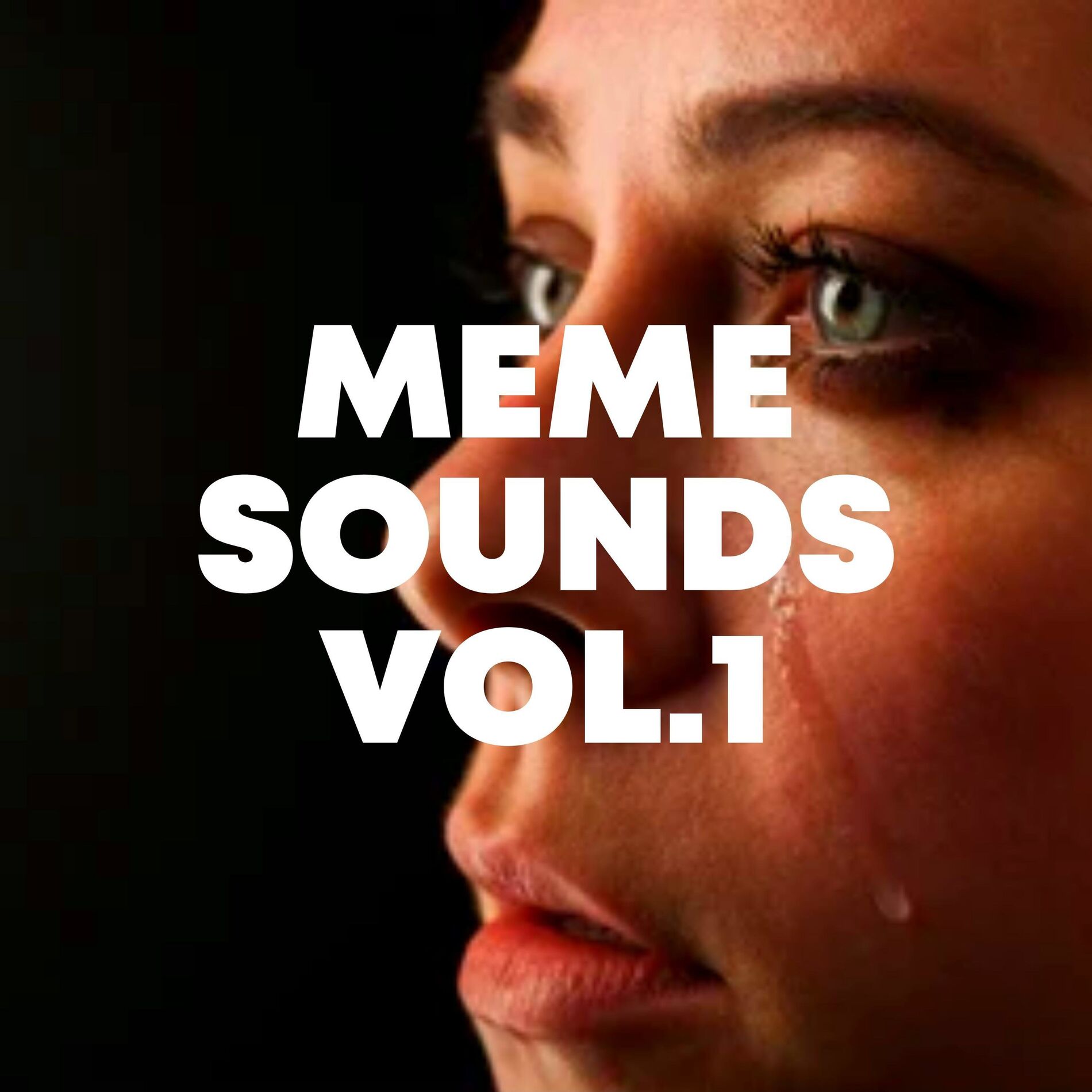 Album cover of Meme Sounds Vol.1