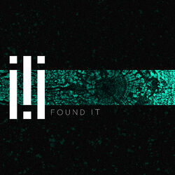 Cover of Found It