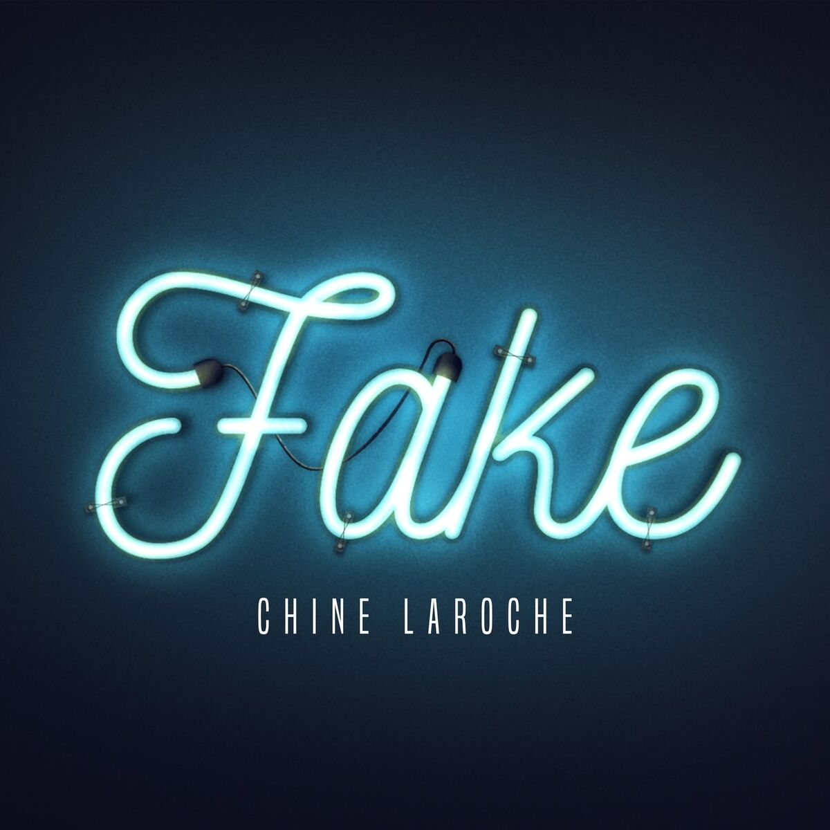 Album cover of Fake