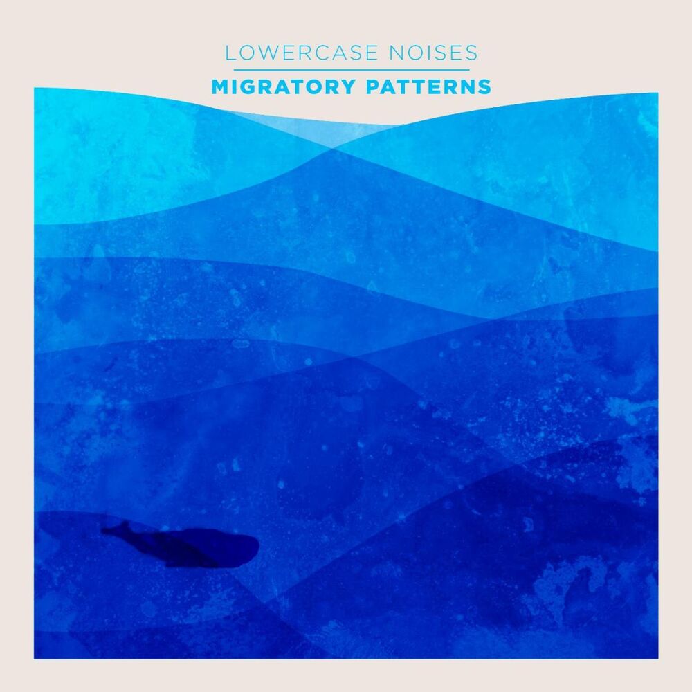 Picture of Migratory Patterns