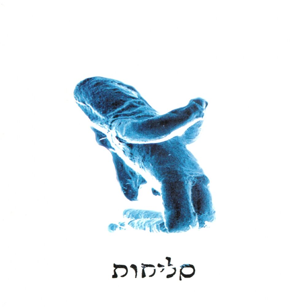 Picture of סליחות