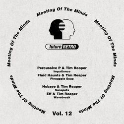 Cover of Meeting Of The Minds Vol. 12