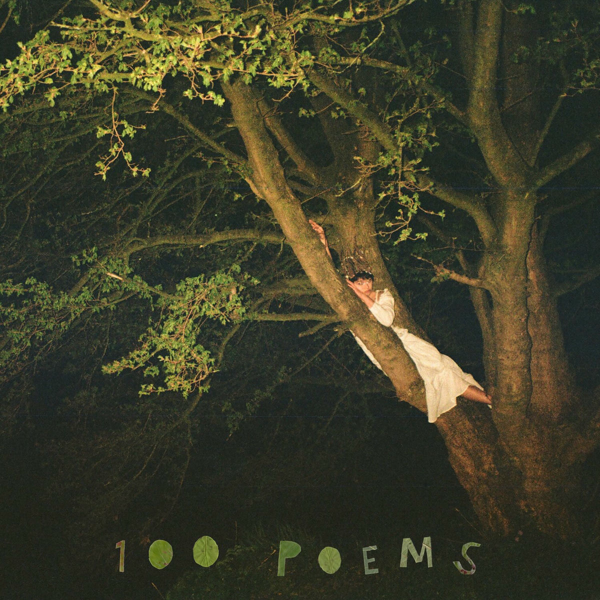 Album cover of 100 Poems