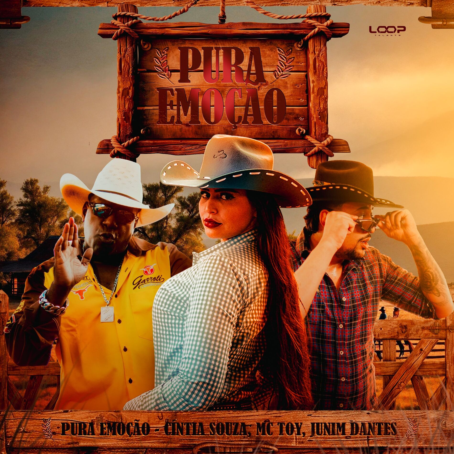 Album cover of Pura Emoção