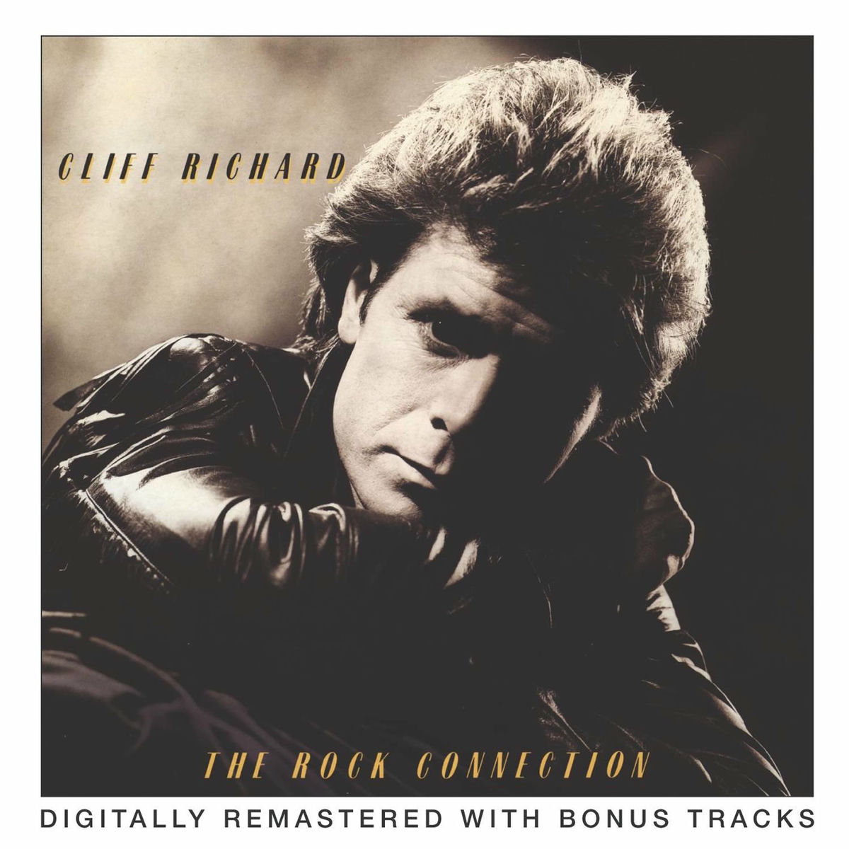 Album cover of The Rock Connection