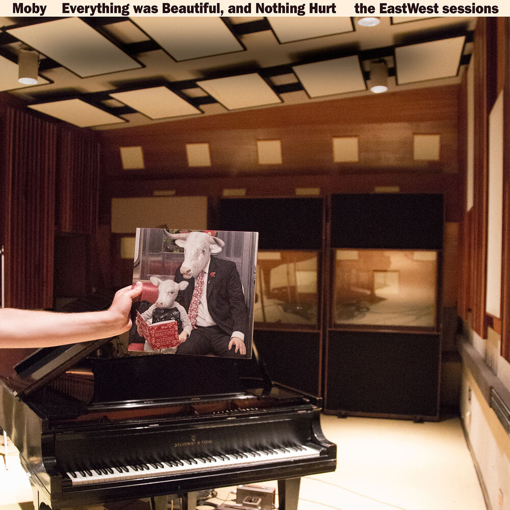 Picture of Everything Was Beautiful, And Nothing Hurt (The EastWest Sessions)