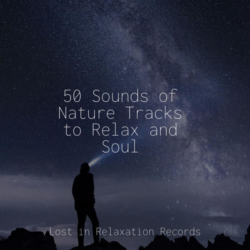 50 Sounds of Nature Tracks to Relax and Soul