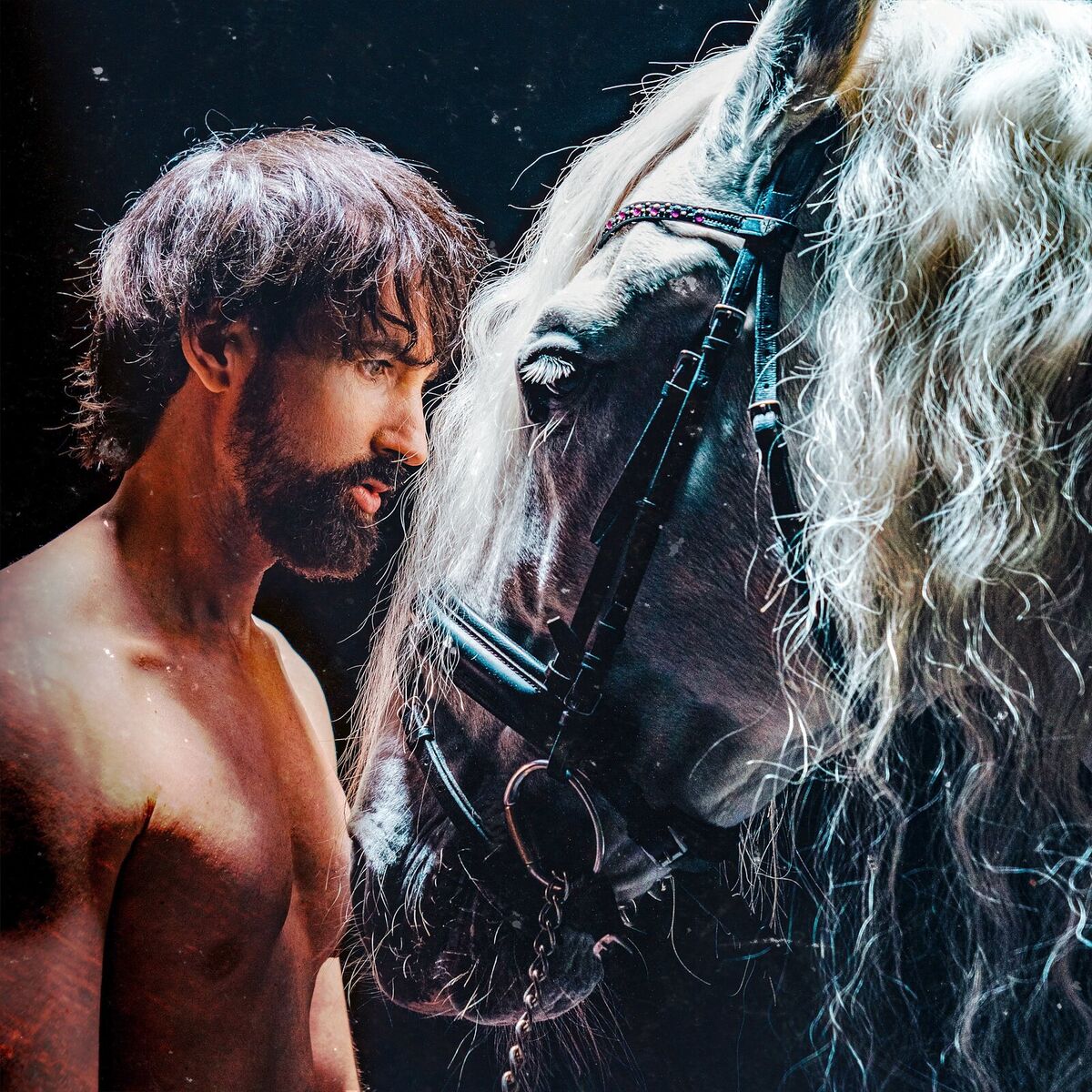 Album cover of Pegasus