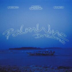 Cover of Palm Wine Dreamz