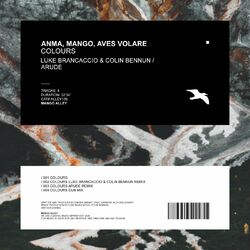 Cover of Colours