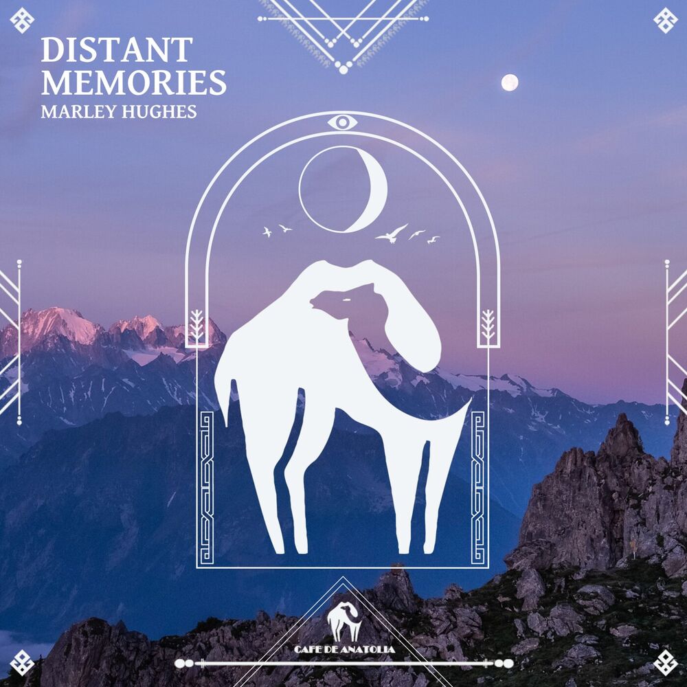 Picture of Distant Memories
