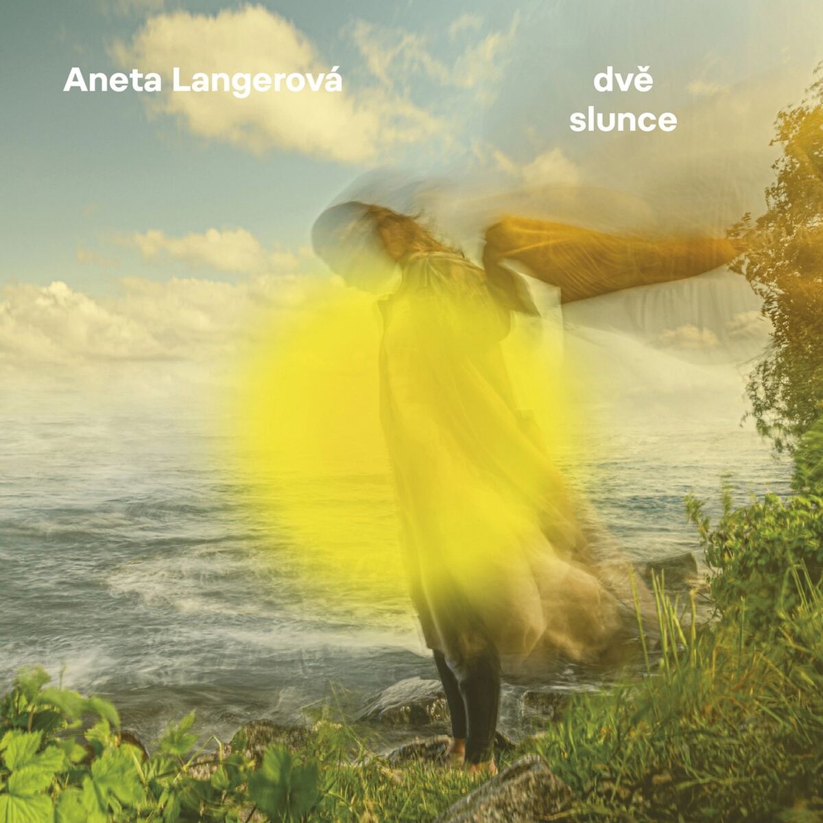 Album cover of Bílý den