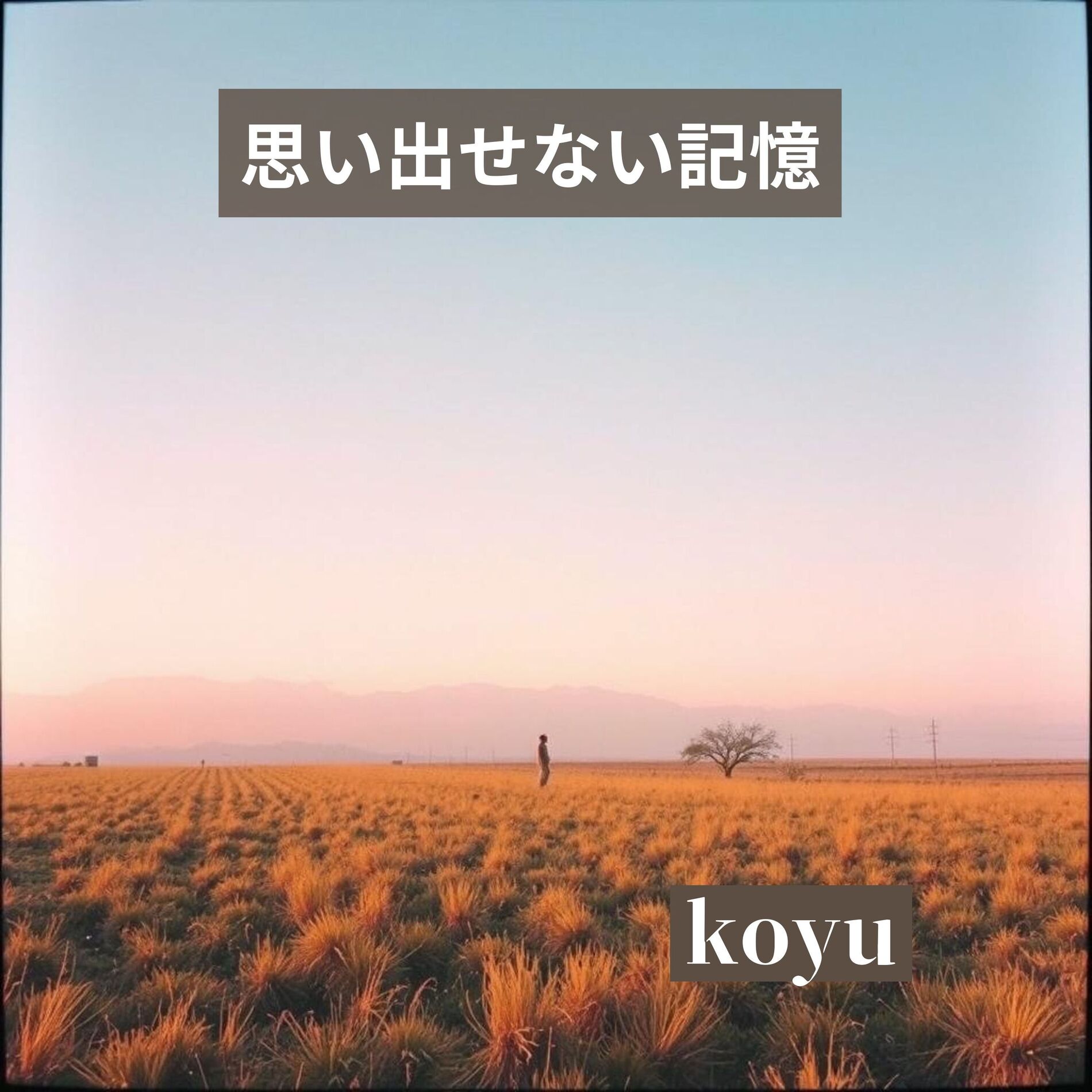 Album cover of 思い出せない記憶