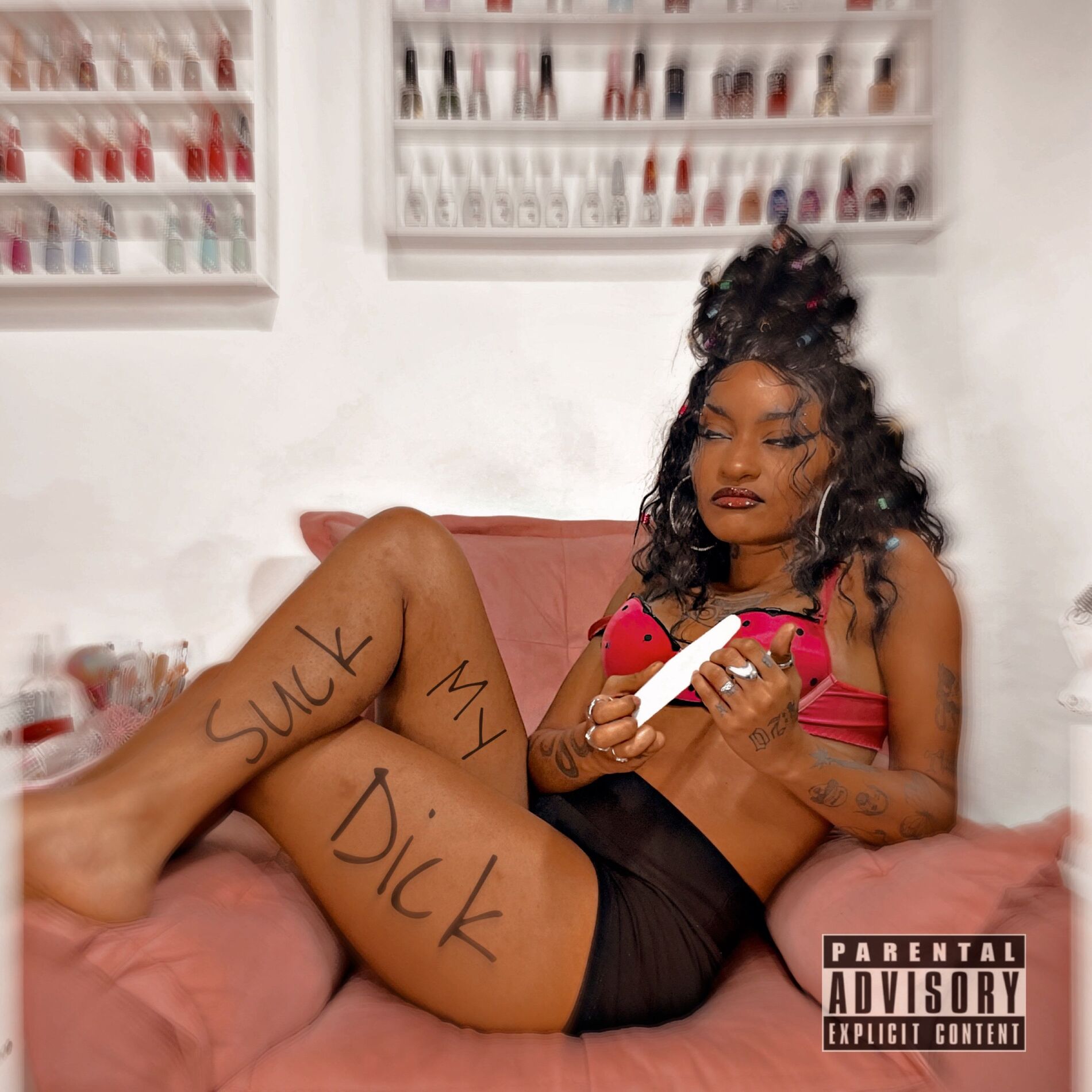 Album cover of Suck My Dick