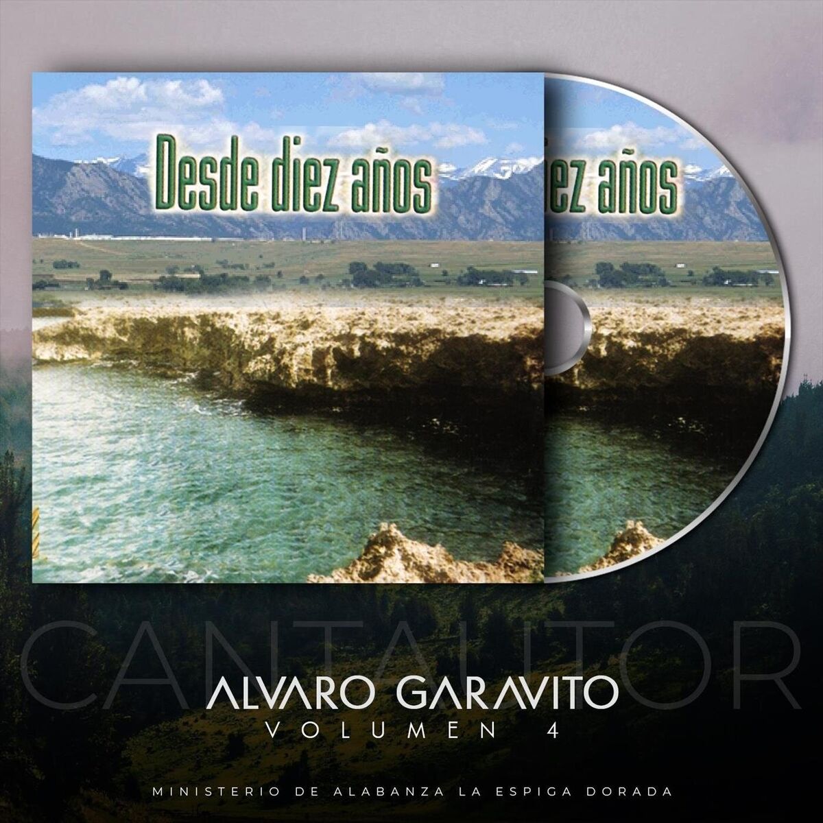 Album cover of Desde Diez Años, Vol. 4
