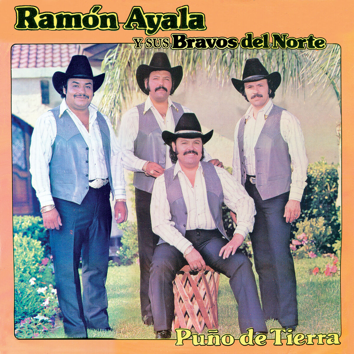 Album cover of Puño De Tierra