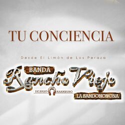 Cover of Tu Conciencia