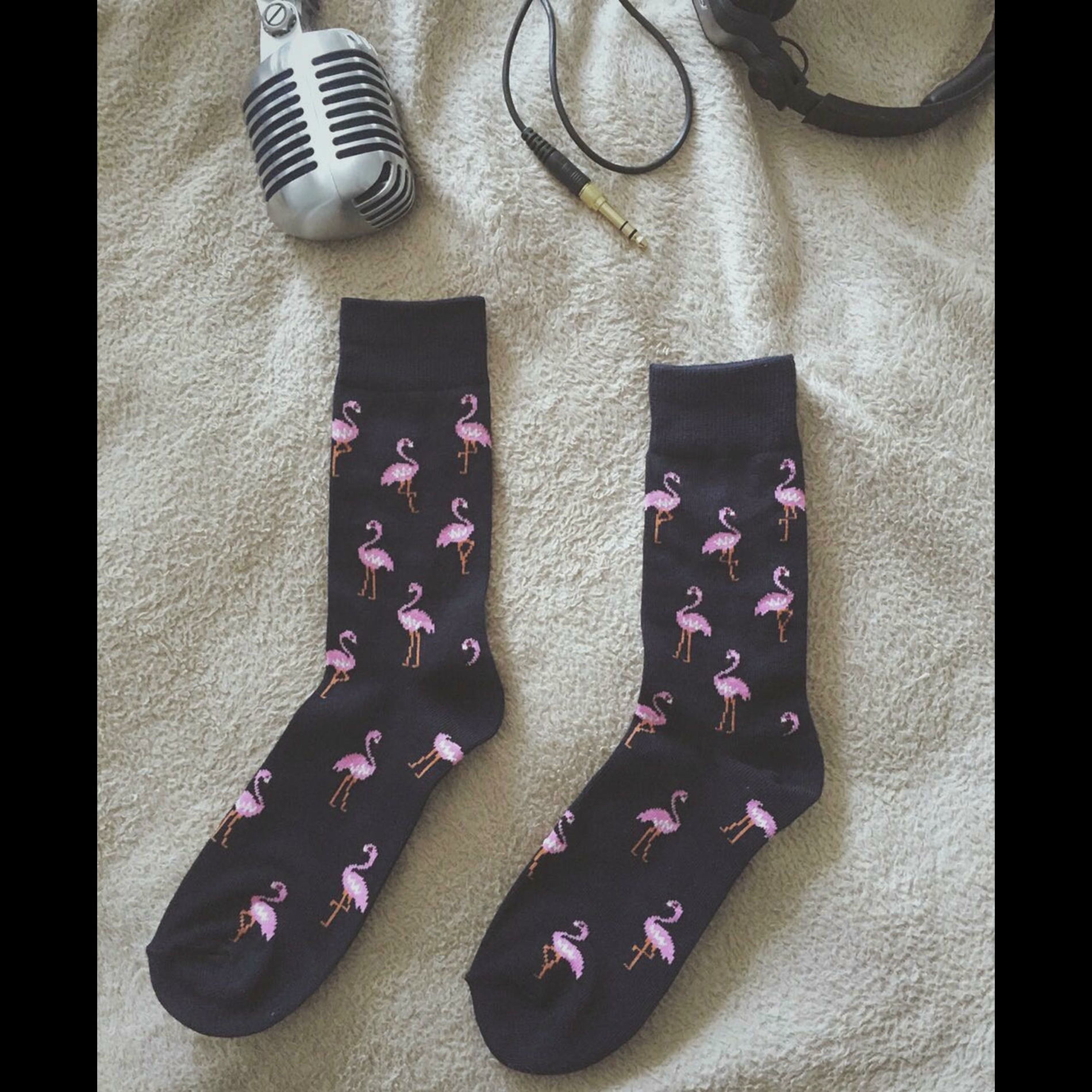 Album cover of Duas Músicas de Flerte Flamingo