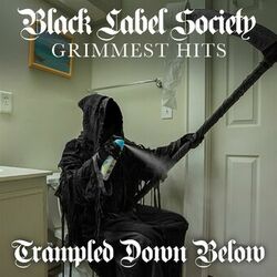 Cover of Trampled Down Below
