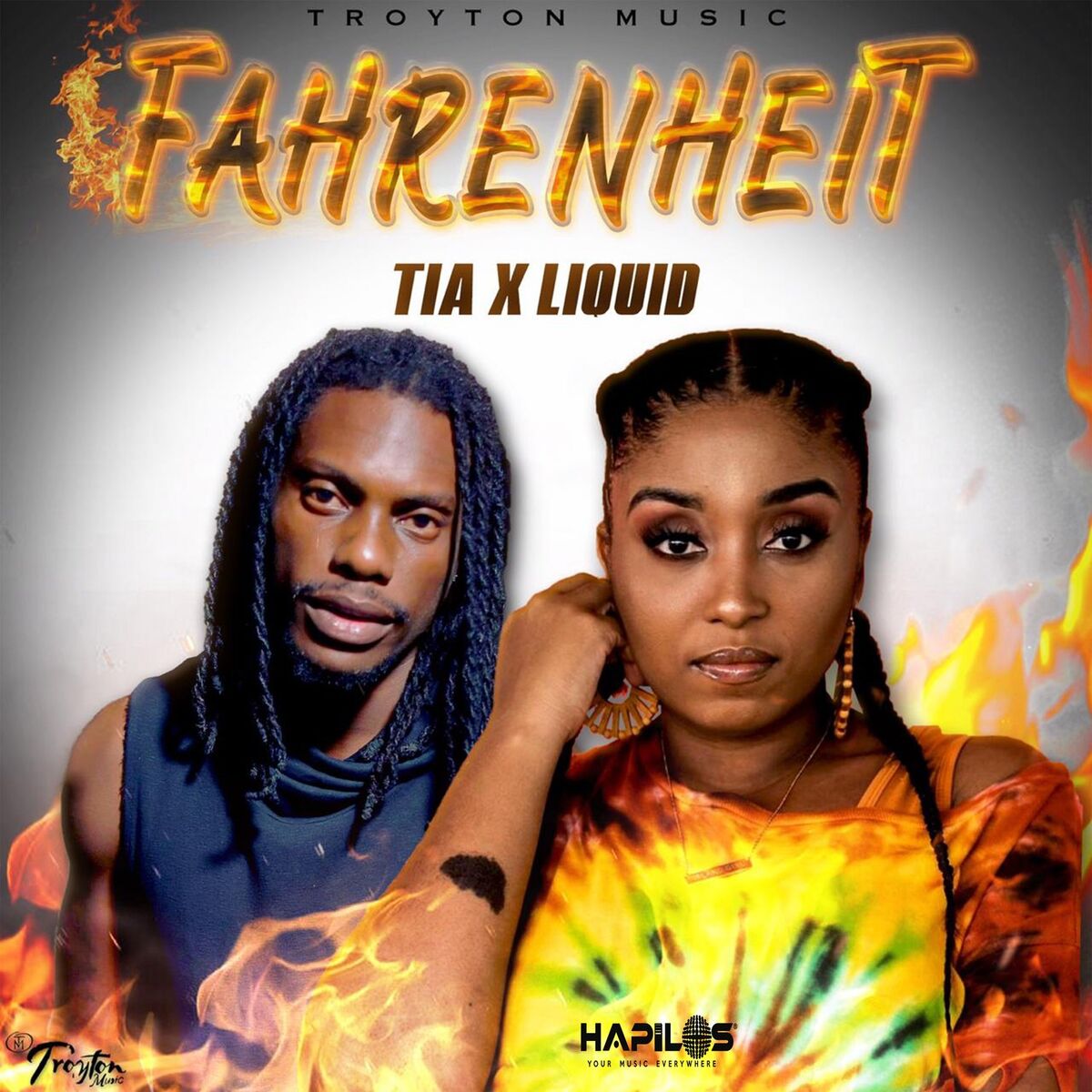 Album cover of Fahrenheit (Remix)