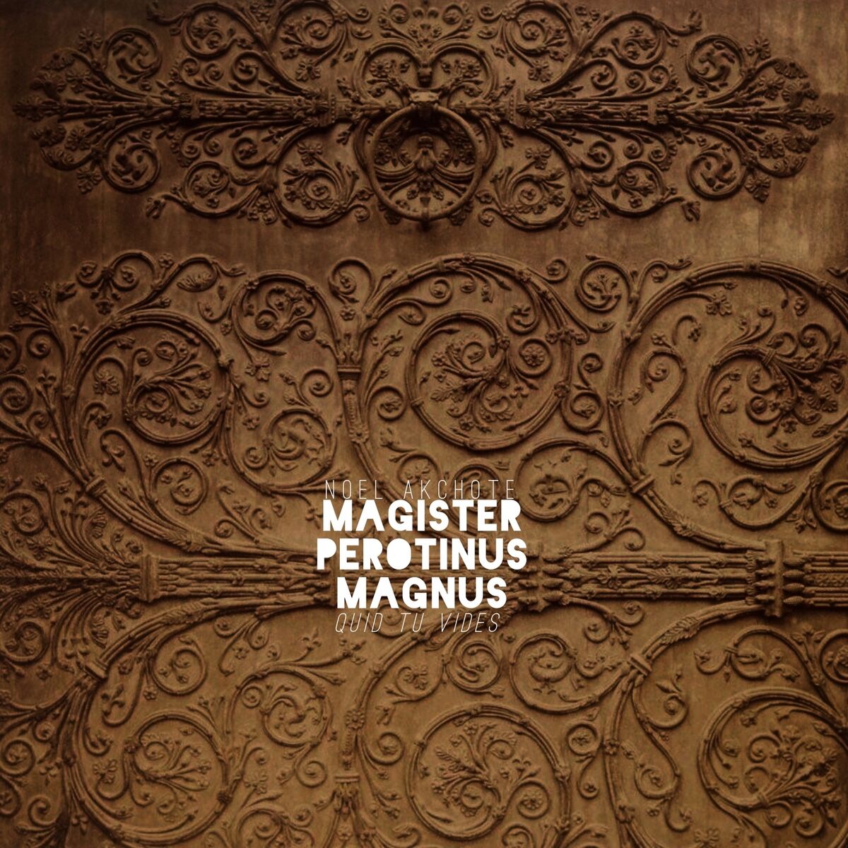 Album cover of Viderunt omnes