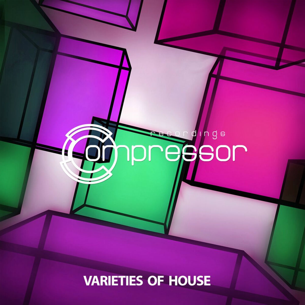 Album cover of Varieties of House