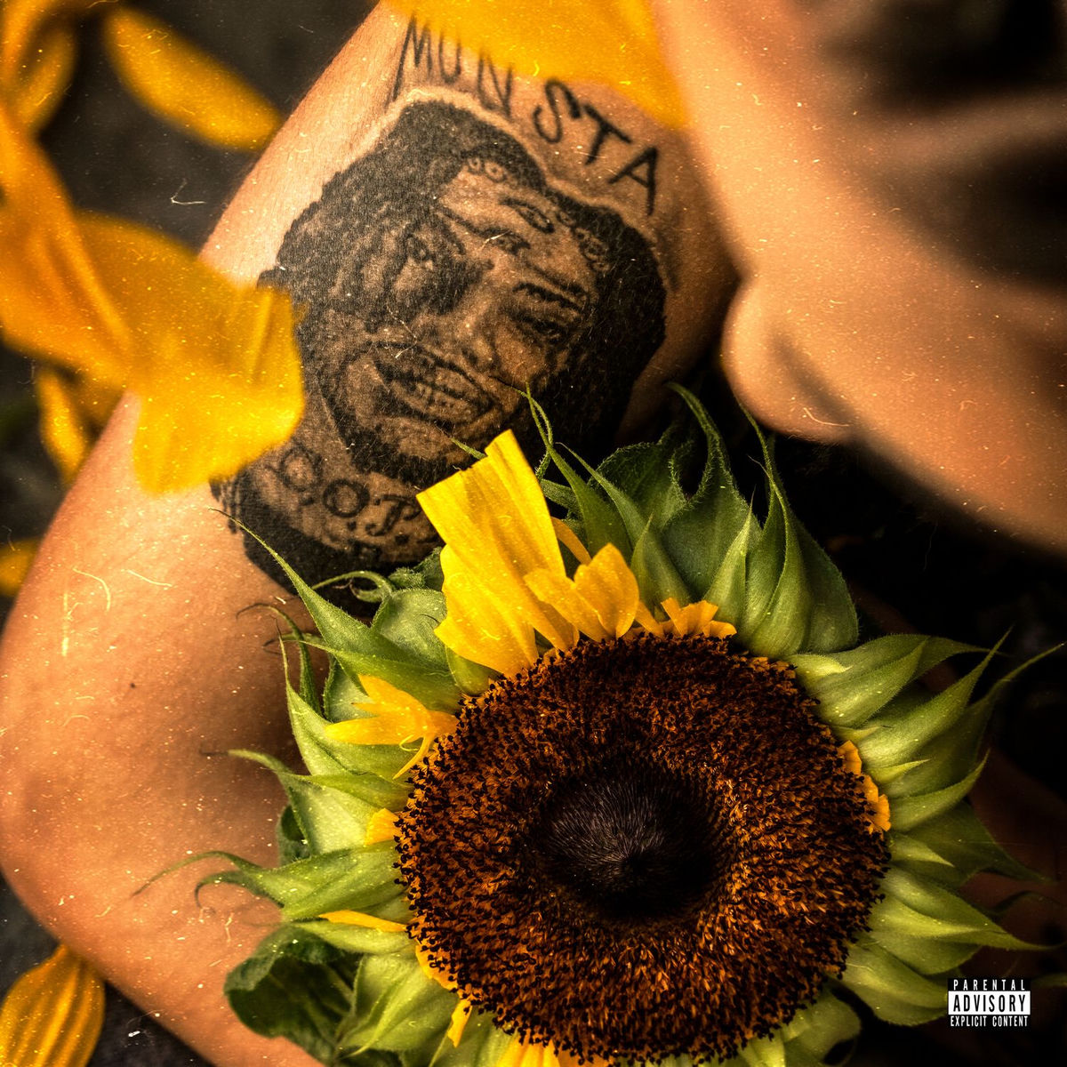 Album cover of SAUDADE