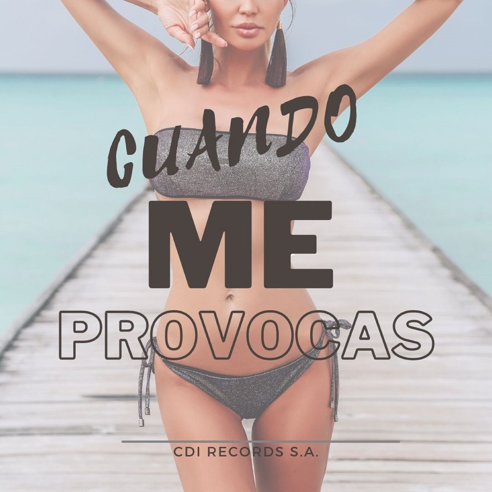 Album cover of Cuando me provocas