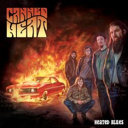 music cover