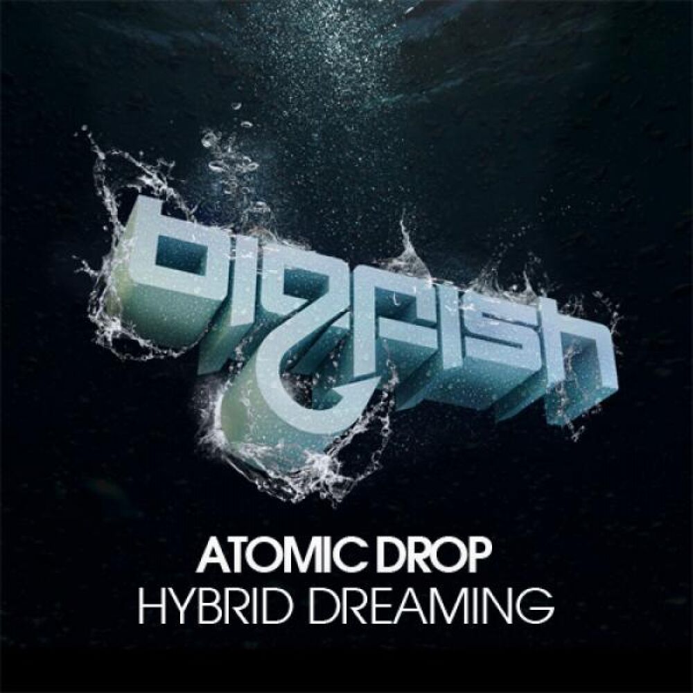 Picture of Hybrid Dreaming