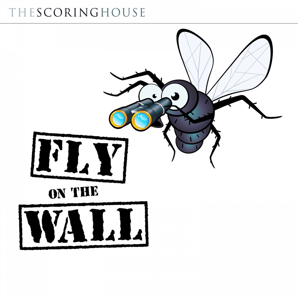Picture of Fly on the Wall