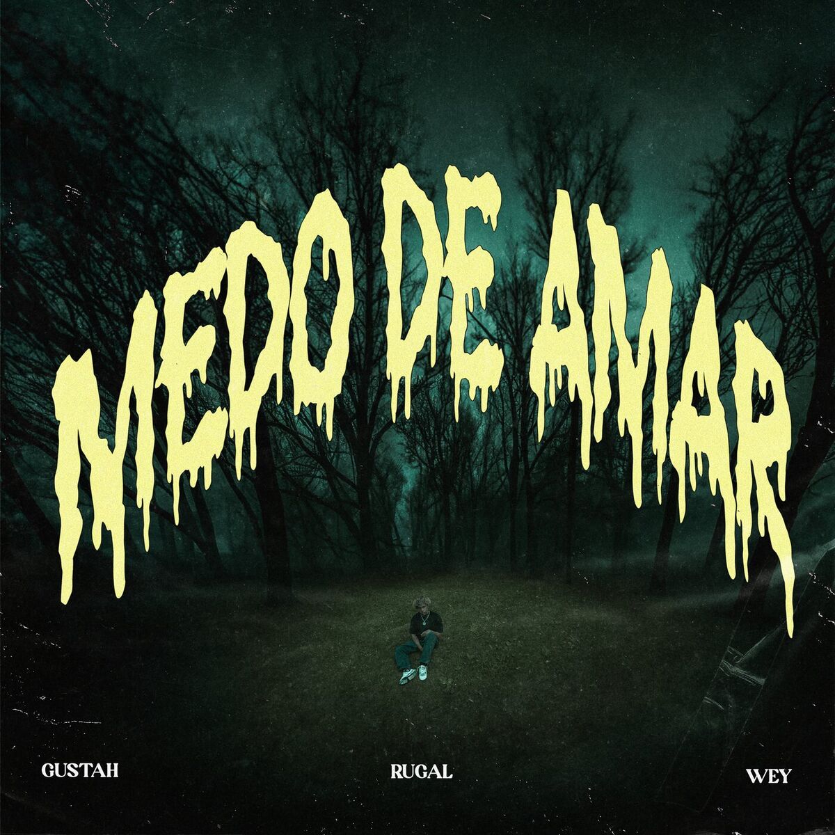 Album cover of Medo De Amar