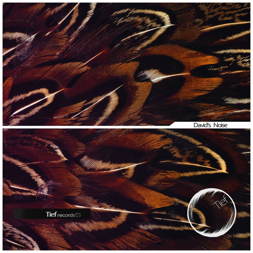 Picture of Noise