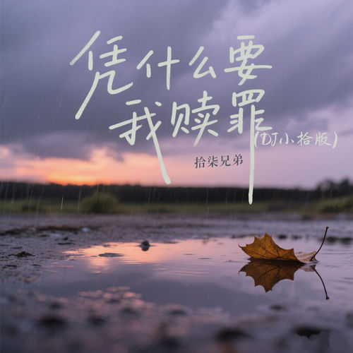 凭什么要我赎罪 (Dj小拾版)