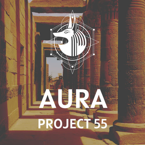 Project 55 Test