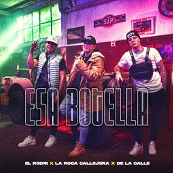 Cover of Esa Botella