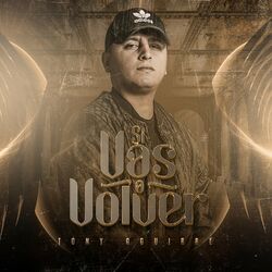 Cover of Si Vas a Volver