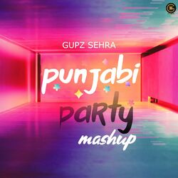 Cover of Punjabi Party Mashup